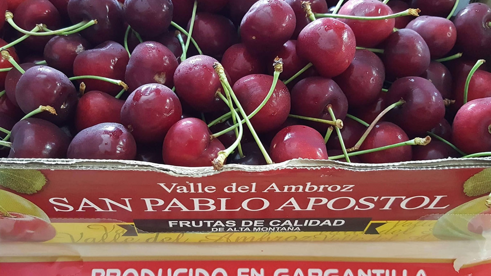 cerezas