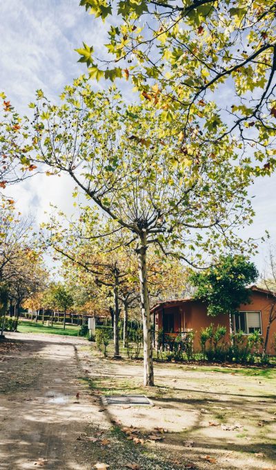 104-Bungalows-Roma