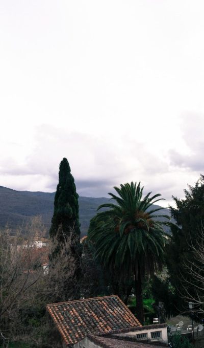 La_Antigua_Fonda_Hervas_2